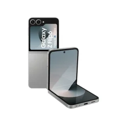 Samsung Galaxy Z Flip 6 256GB F741 Gray